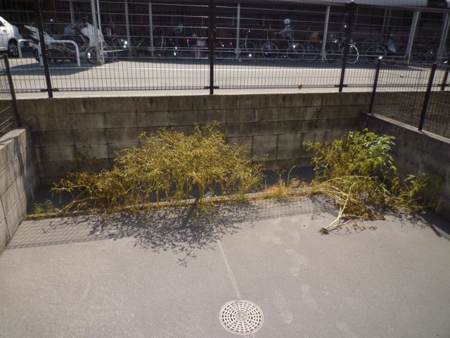 室内写真9