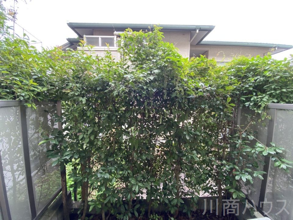 室内写真9